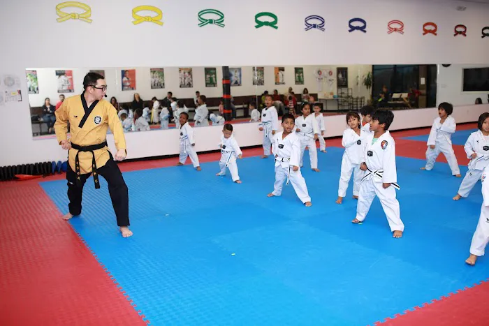 Tiger Kyong's Top Class Taekwondo Picture 8