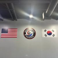 Master D Choi's World Champion Taekwondo ico