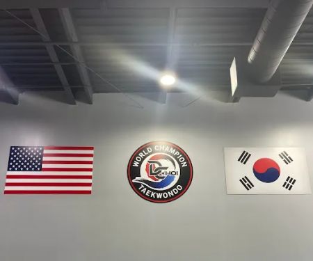 Master D Choi's World Champion Taekwondo