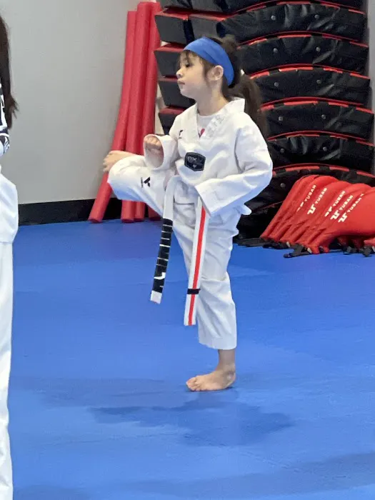 Master D Choi's World Champion Taekwondo Picture 5