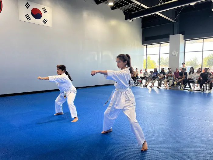 Master D Choi's World Champion Taekwondo Picture 6