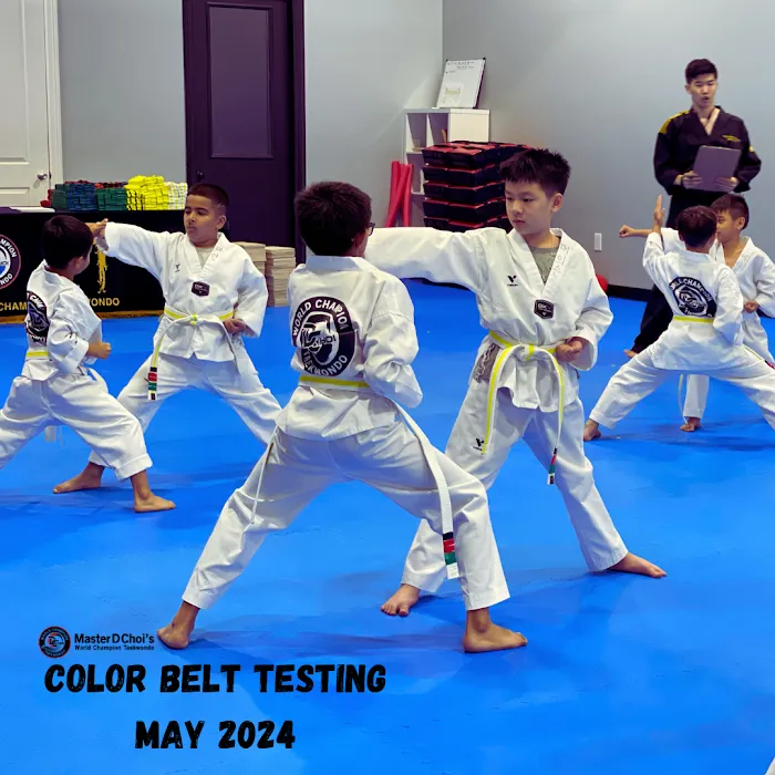 Master D Choi's World Champion Taekwondo Picture 10