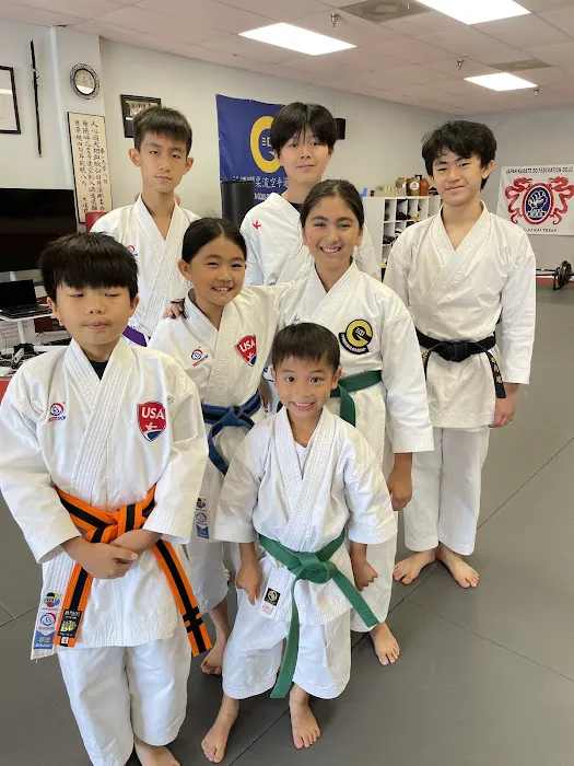 Traditional Karate Center Picture 5