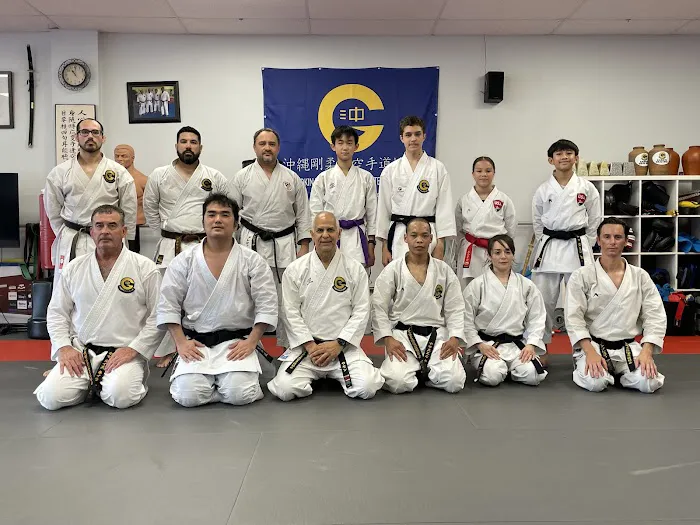 Traditional Karate Center Picture 2