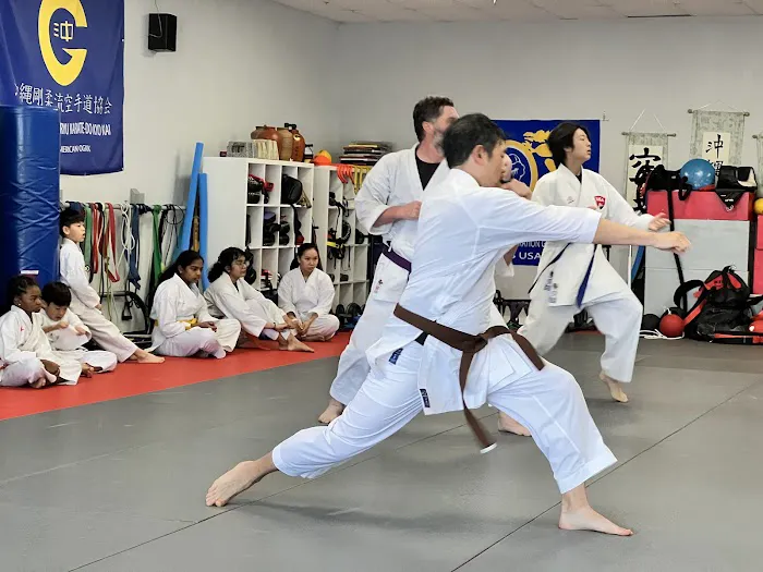 Traditional Karate Center Picture 3