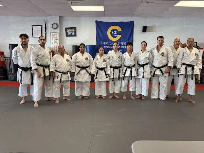 Traditional Karate Center Picture 9