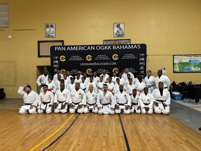 Traditional Karate Center Picture 7