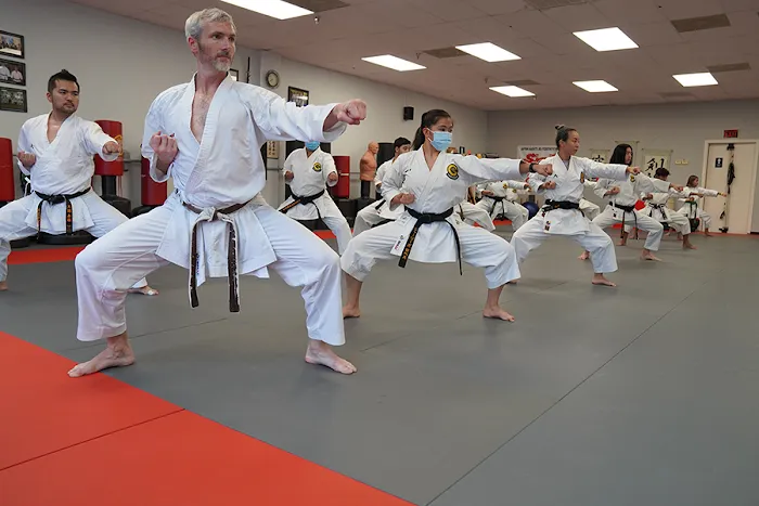 Traditional Karate Center Picture 10