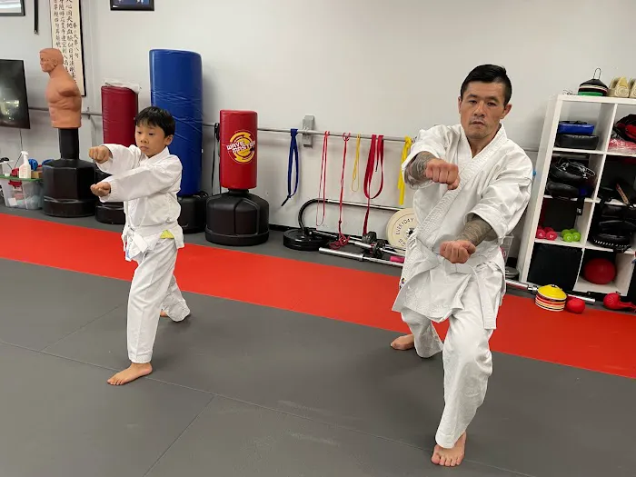 Traditional Karate Center Picture 8