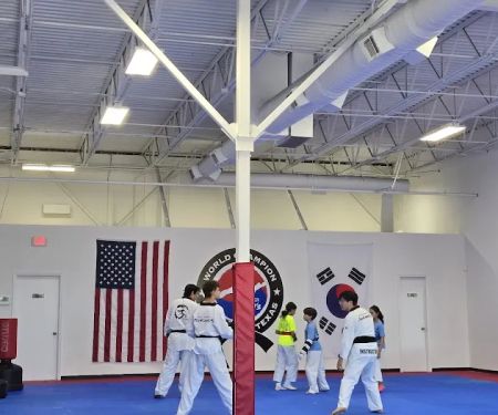 Master Choi’s World Champion Tae Kwon Do