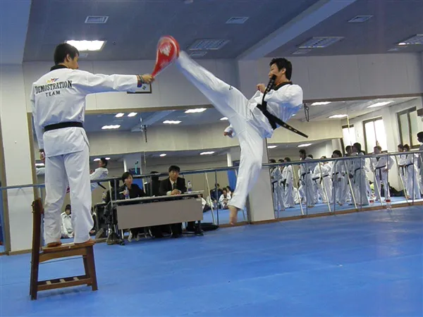 Master Choi’s World Champion Tae Kwon Do Picture 10