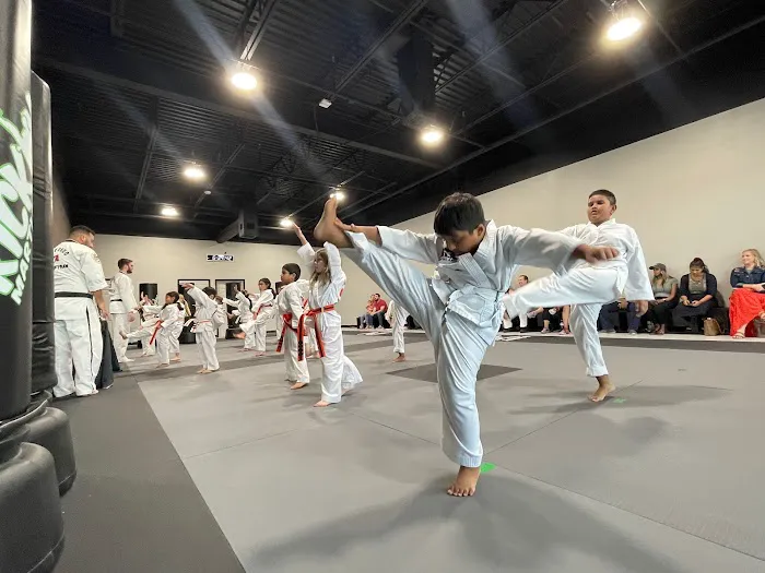 Kickin Martial Arts Picture 1