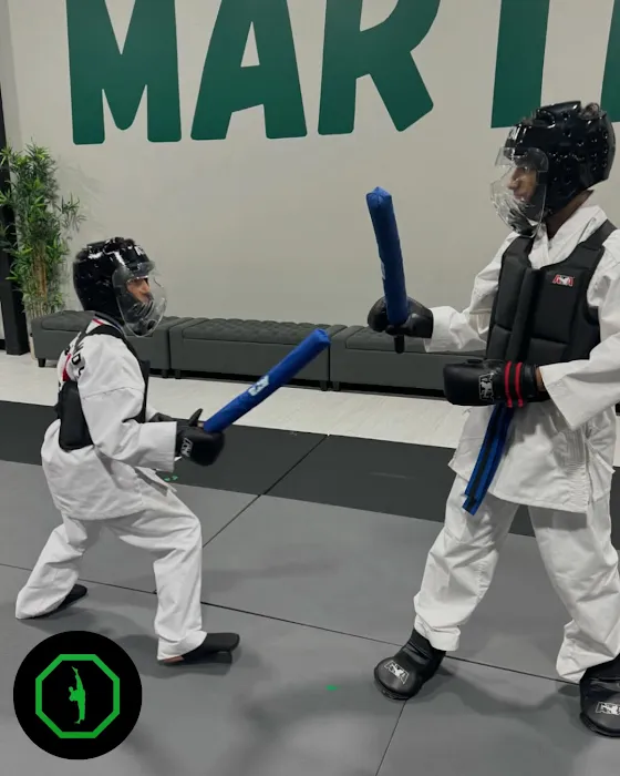 Kickin Martial Arts Picture 7