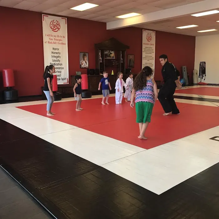 Bushi Ban Martial Arts & Fitness Sienna Picture 4