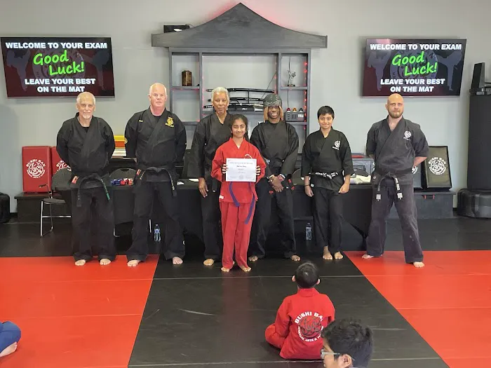 Bushi Ban Martial Arts & Fitness Sienna Picture 9