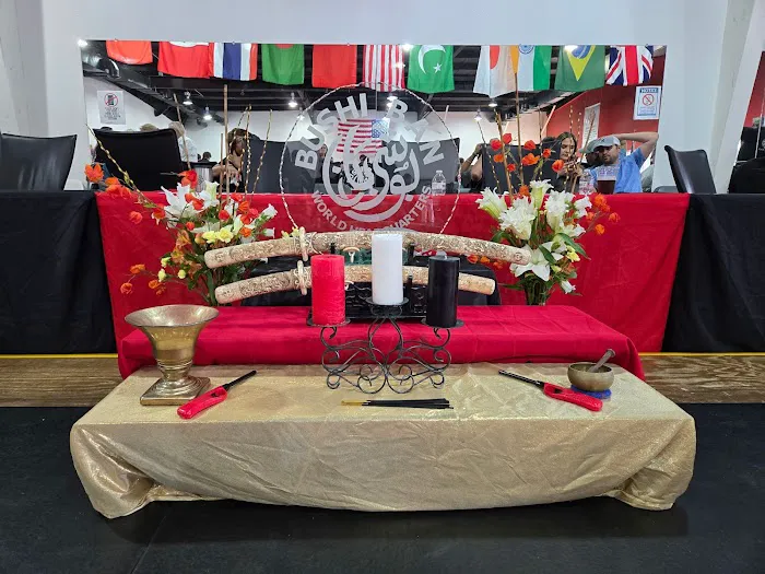 Bushi Ban Martial Arts & Fitness Sienna Picture 6