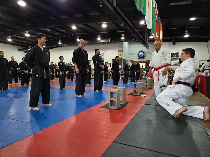 Bushi Ban Martial Arts & Fitness Sienna Picture 5