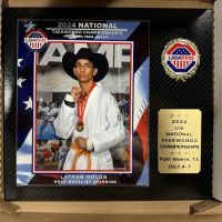No Limits Martial Arts Champions ico