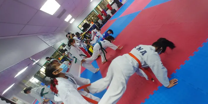 Grand Master Song Chol (송철 집사님) Picture 4