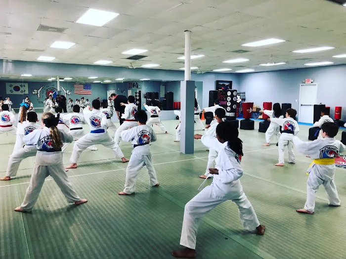 Cho's Tae Kwon Do Center Picture 2