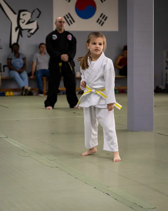 Cho's Tae Kwon Do Center Picture 1