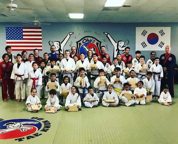 Cho's Tae Kwon Do Center Picture 7