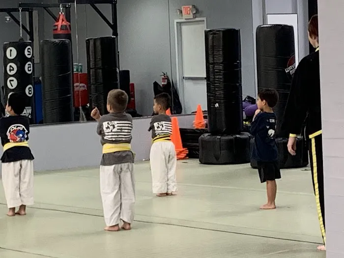 Cho's Tae Kwon Do Center Picture 3