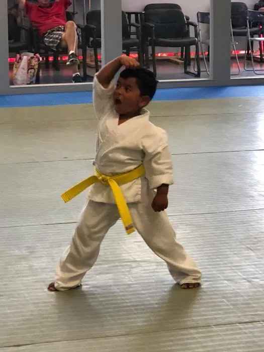 Cho's Tae Kwon Do Center Picture 4