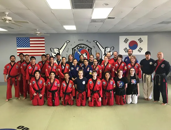 Cho's Tae Kwon Do Center Picture 8