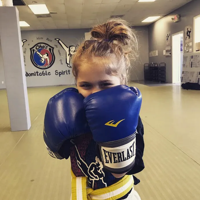 Cho's Tae Kwon Do Center Picture 6