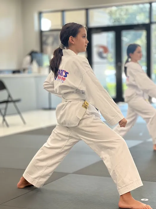Parks Taekwondo Federation - Cypress Picture 3