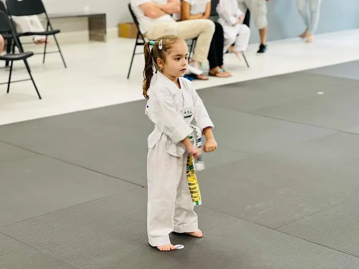 Parks Taekwondo Federation - Cypress Picture 10