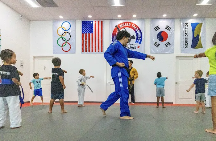 Master Kim's World Tae Kwon Do Picture 4