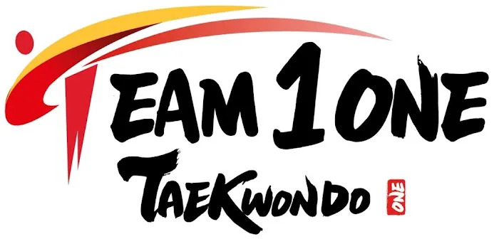 Team1One Taekwondo Picture 6