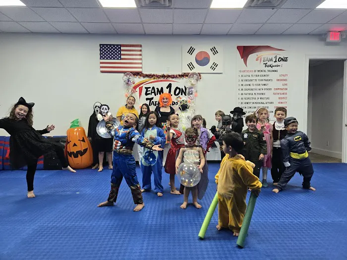 Team1One Taekwondo Picture 9
