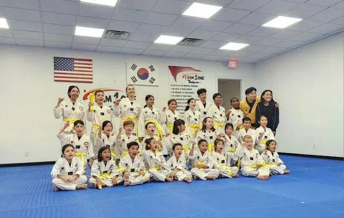 Team1One Taekwondo Picture 7