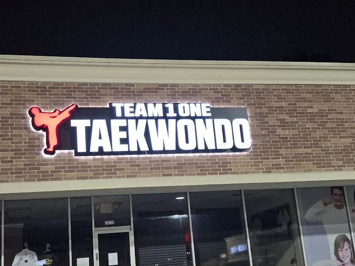 Team1One Taekwondo Picture 5