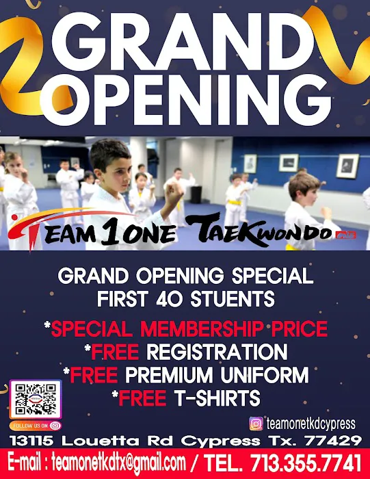 Team1One Taekwondo Picture 8
