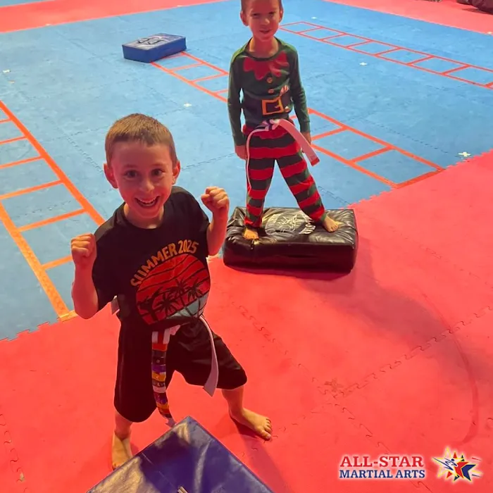 All-Star Martial Arts Picture 8