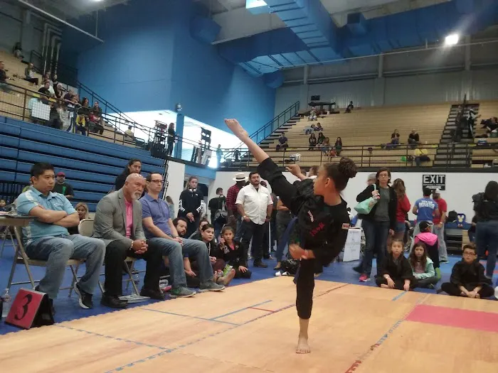 Team K2 Karate Picture 5