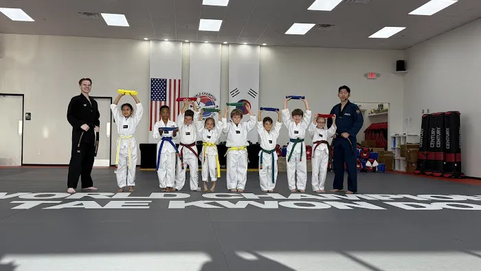 Leaders Taekwondo - Formerly known as Master Lim's World Champion TKD Cypress Picture 6