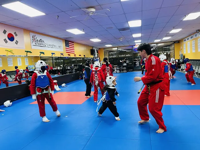 Master Choi's Heroes Martial Arts Picture 3