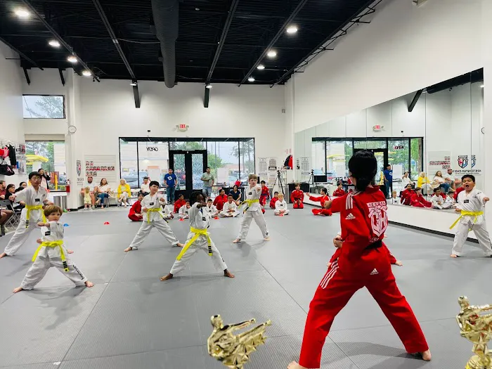 Master Choi's Heroes Martial Arts Picture 2