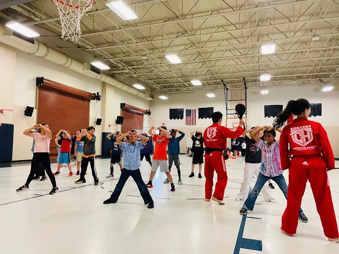 Master Choi's Heroes Martial Arts Picture 6