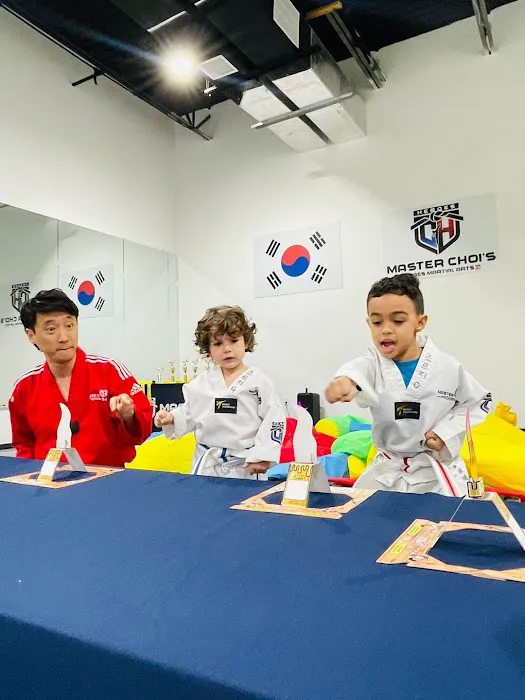 Master Choi's Heroes Martial Arts Picture 9