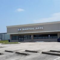 Leaders for Life Martial Arts ico