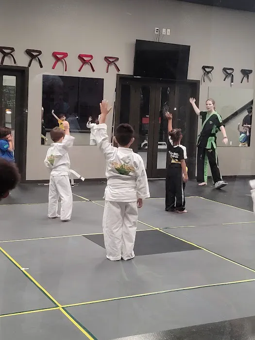 Premier Martial Arts Dickinson Picture 10