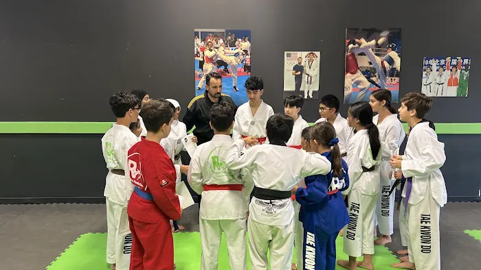 R Stars Taekwondo Academy Picture 8