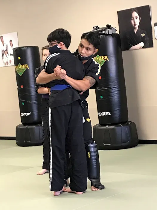 Premier Martial Arts of Richmond Picture 5