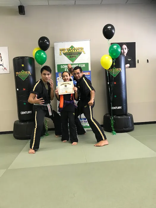 Premier Martial Arts of Richmond Picture 6